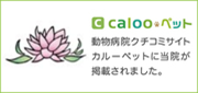calooペット