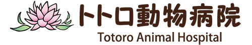 トトロ動物病院