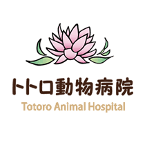トトロ動物病院は、犬・猫を中心に一般診療・内科・外科・健康診断・ワクチン・予防医療など幅広く対応する地域密着の動物病院です。