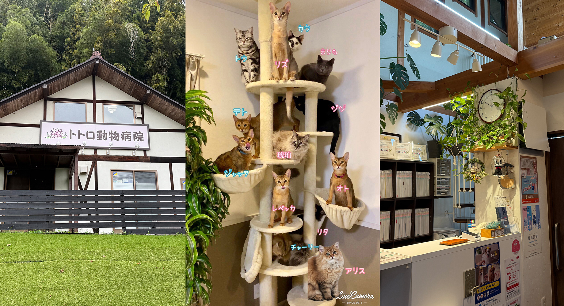 トトロ動物病院