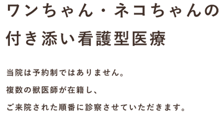 ワンちゃん・ネコちゃんの付き添い看護型医療　当院は予約制ではありません。複数の獣医師が在籍し、ご来院された順番に診察させていただきます。