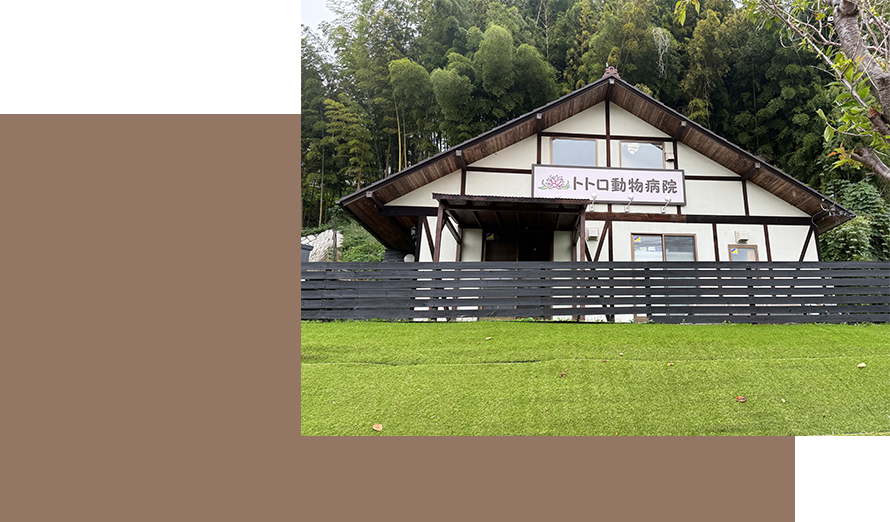 トトロ動物病院