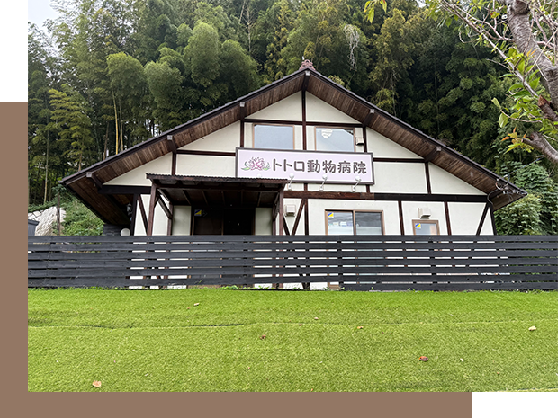 トトロ動物病院