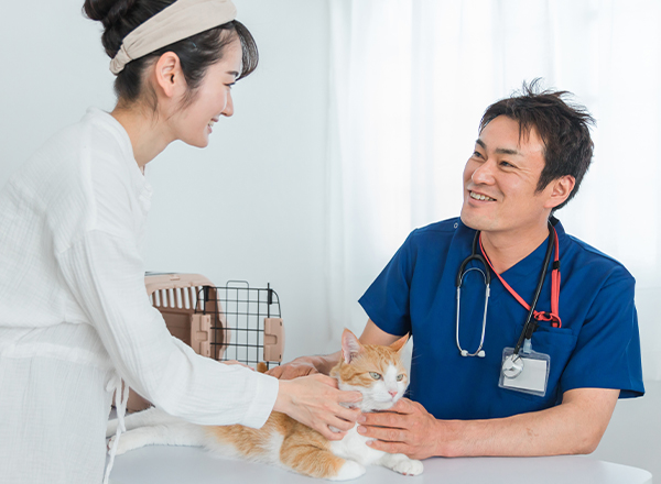 付き添い看護型医療