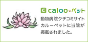 calooペット 動物病院口コミサイト