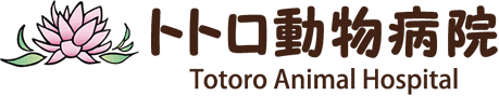 トトロ動物病院・複数獣医師在籍・手術・麻酔処置